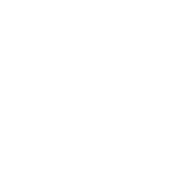 Pirate Day  Virginia Opera