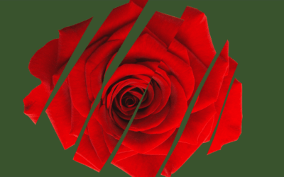 Carmen Resource List